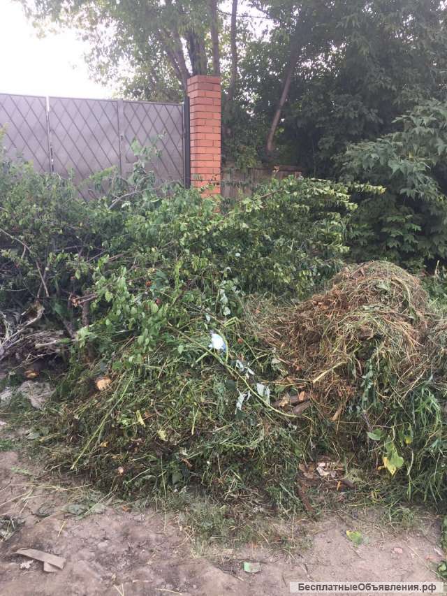 Вывоз веток и уборка листьев на дачном участке