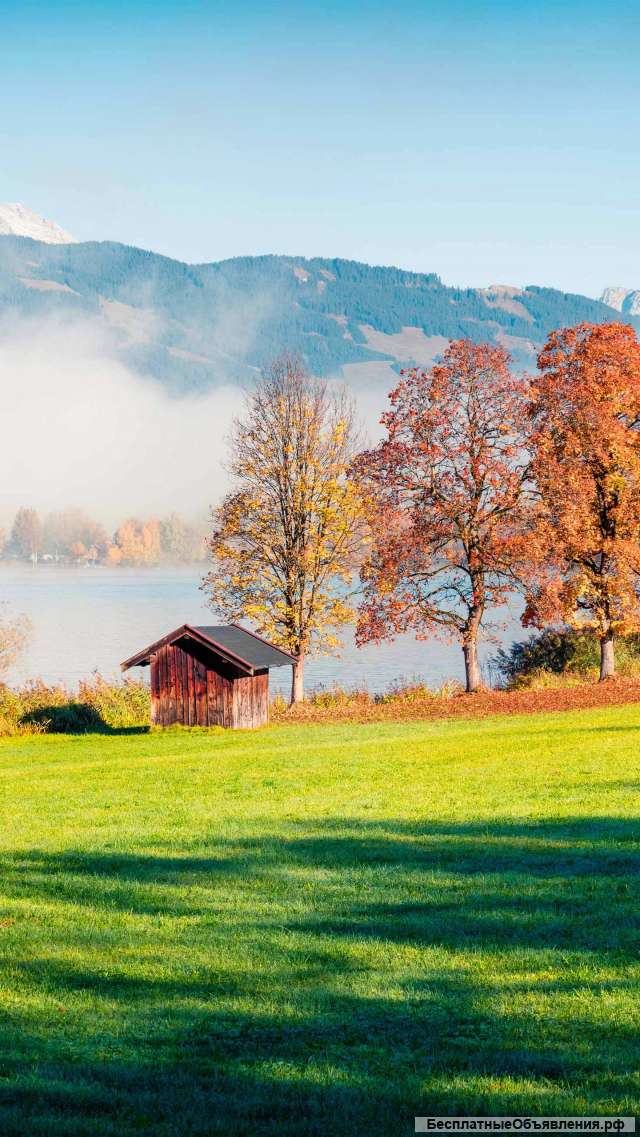 Трезвые грузчики