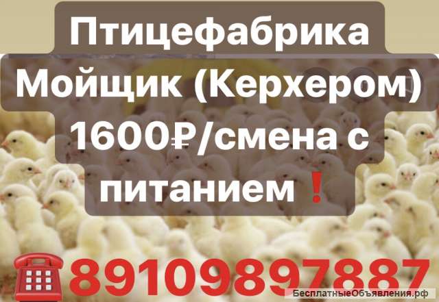 На птицефабрику разделка, мойка и убой птицы