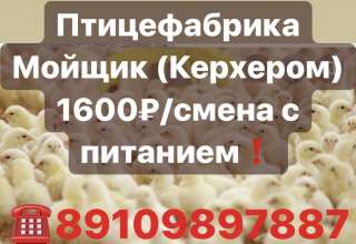 На птицефабрику разделка, мойка и убой птицы