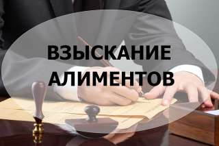 Взыскание алиментов в судебном порядке, контроль за ходом исполнительного производства
