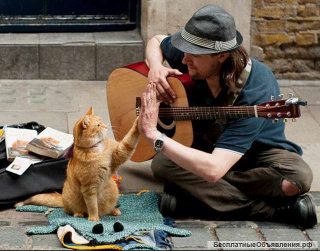 Занятия музыкой в Казани