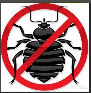 Уничтожение тараканов, Дезинсекция, Дератизация