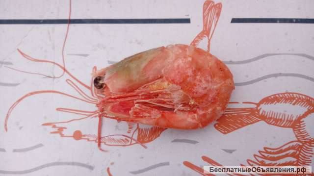 Креветка варёно-мороженая, Россия, 450 руб/кг