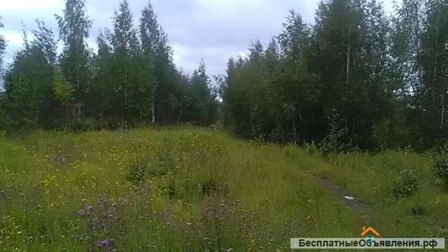 Участок 1.36 га (промназначения)