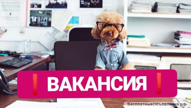 Помощник кинолога
