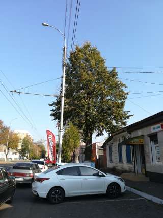 Оффисная работа