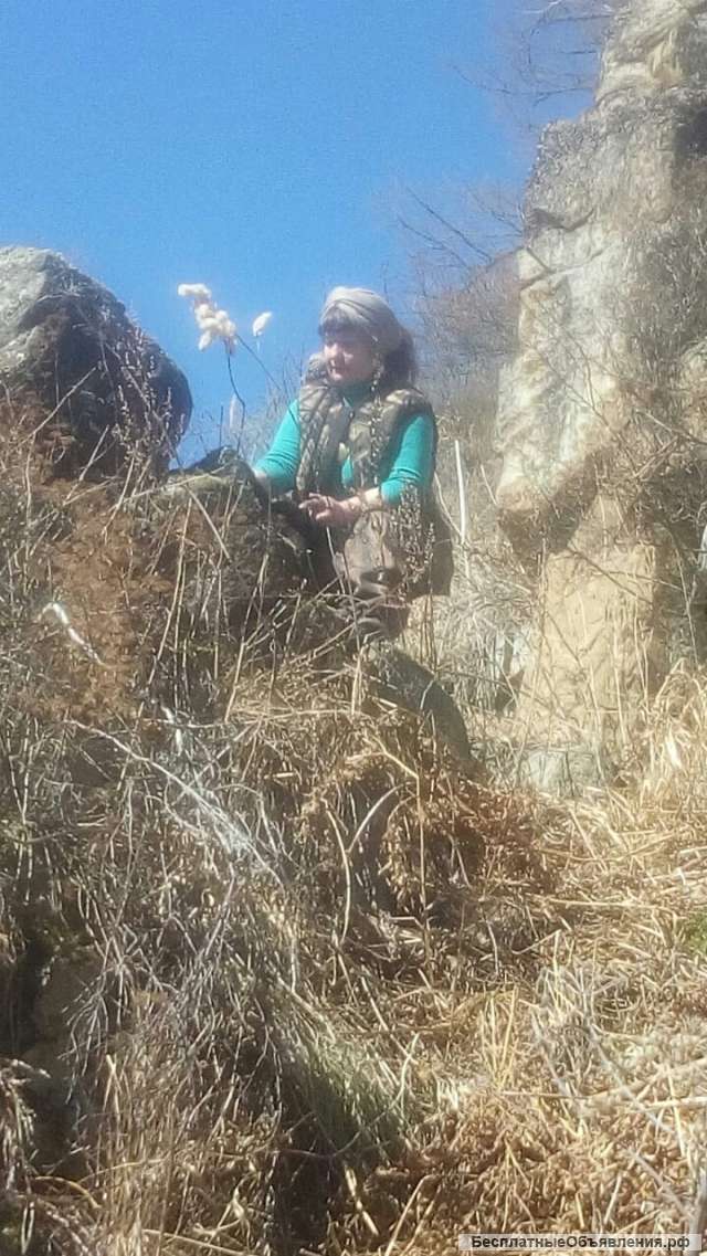 Услуги шамана и кудесницы