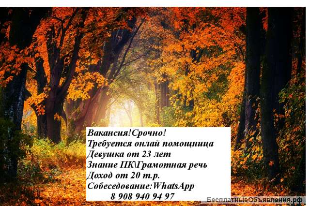 Требуются сотрудники