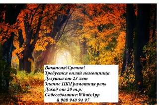 Требуются сотрудники