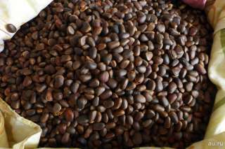 Орех кедровый