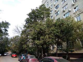 3 к.кв. 59м2 евроремонт ФМР