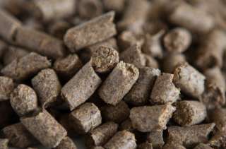 Пивная дробина