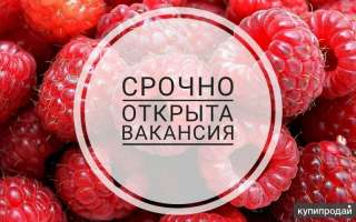 Официант, кассир-бариста