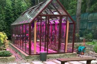 Фитолампы и автономные светильники. Круглогодичные теплицы Union