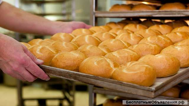 Производственное помещение (хлебокомбинат)