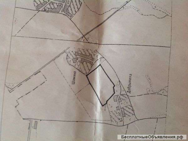 Земельный участок 5,9 га