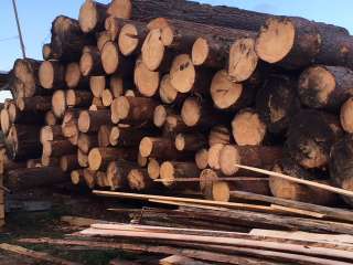 Услуга по распиловке древесины в Кемерово