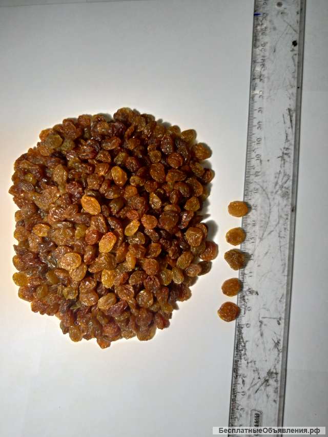 Изюм Малаяр