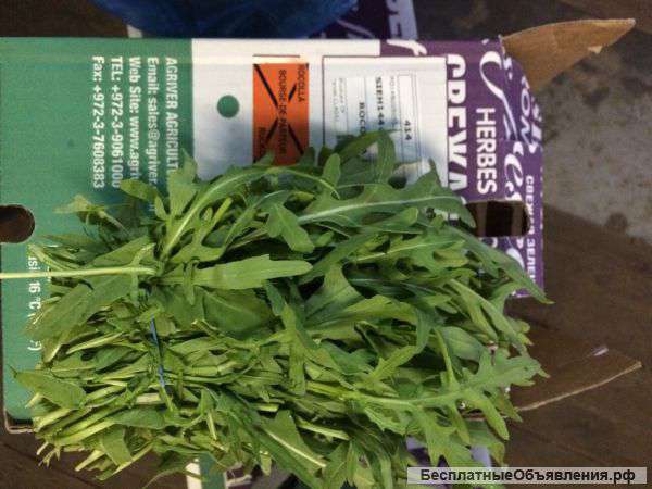 Свежая зелень (производство Израиль)