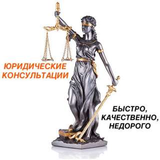 Юрист. Адвокат по гражданским и уголовным делам.