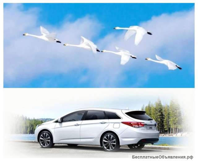 Аренда авто на торжества