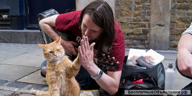 Курсы игры на гитаре в Набережных Челнах