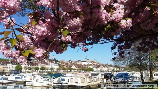 Легально Франция