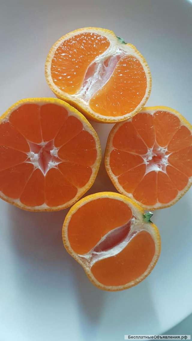 Мандарины