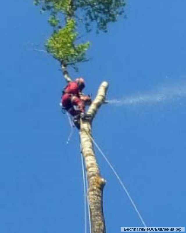 Высотные работы Химки, Солнечногорский и др Устранение протечек Ремонт кровли Промышленный Альпинизм