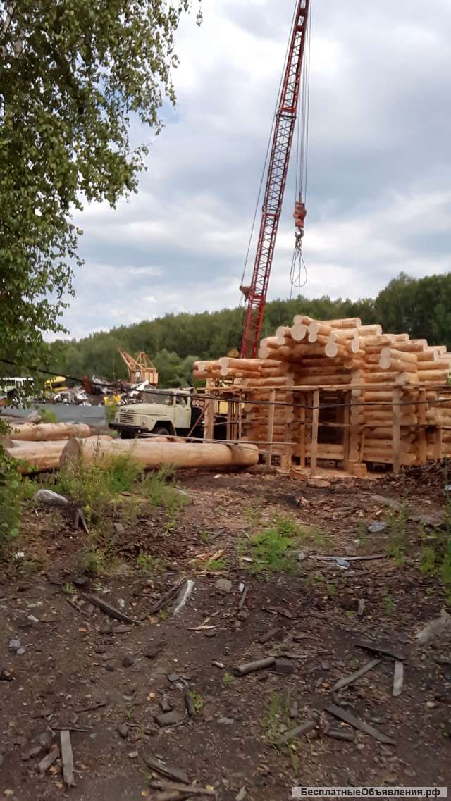 Дома бани из кедра