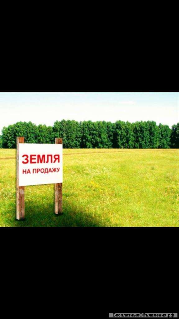 Участок 8 соток в Чистеньком