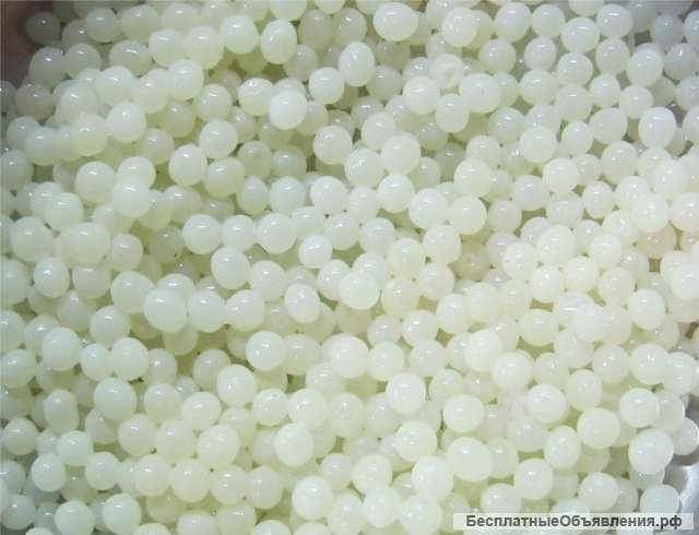 Яйца улитки ахатины для приготовления белой икры