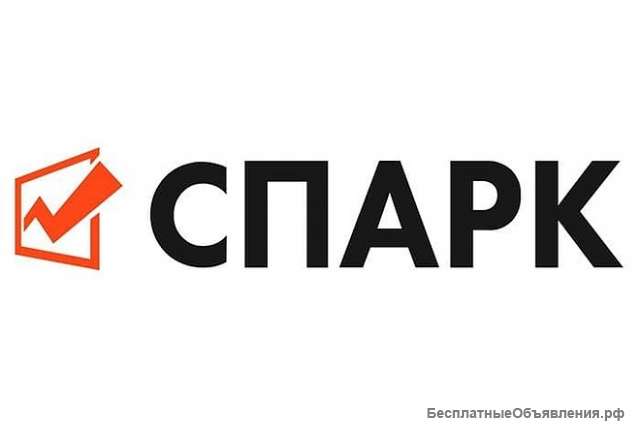 Проверка контрагента через "СПАРК"