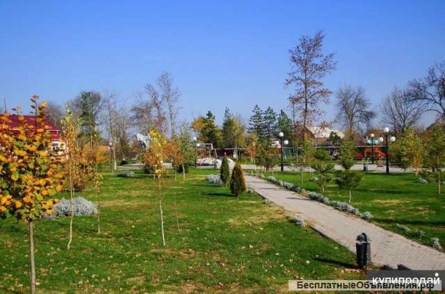 Земельный участок в центральном парке