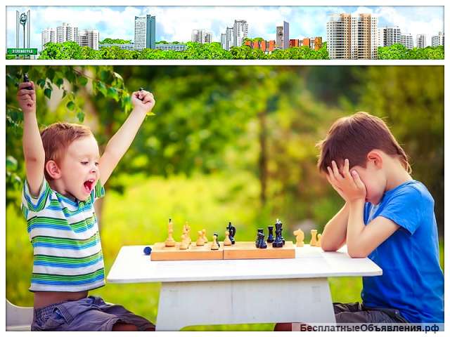 Обучение шашкам и шахматам в Зеленограде для всех желающих
