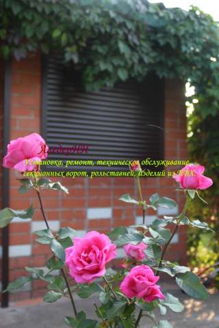Установка и ремонт роллет