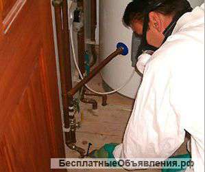 Тараканов мух уничтожение в Самаре.Эффект 100%