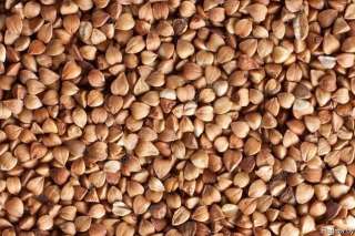 Экспорт из России