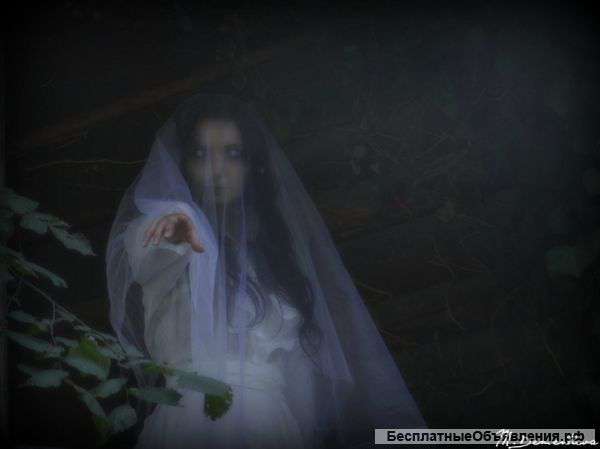 Ваш любимый фотограф