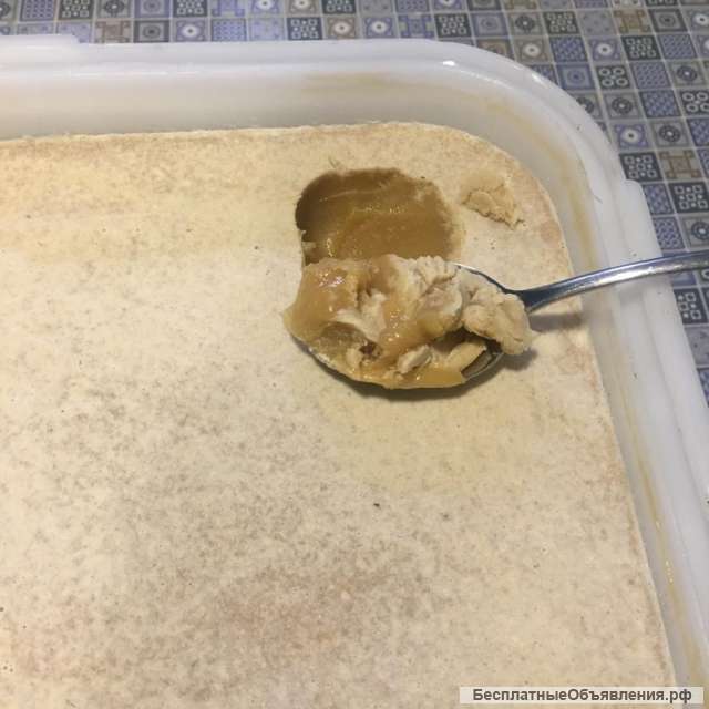 Натуральный алтайский мёд