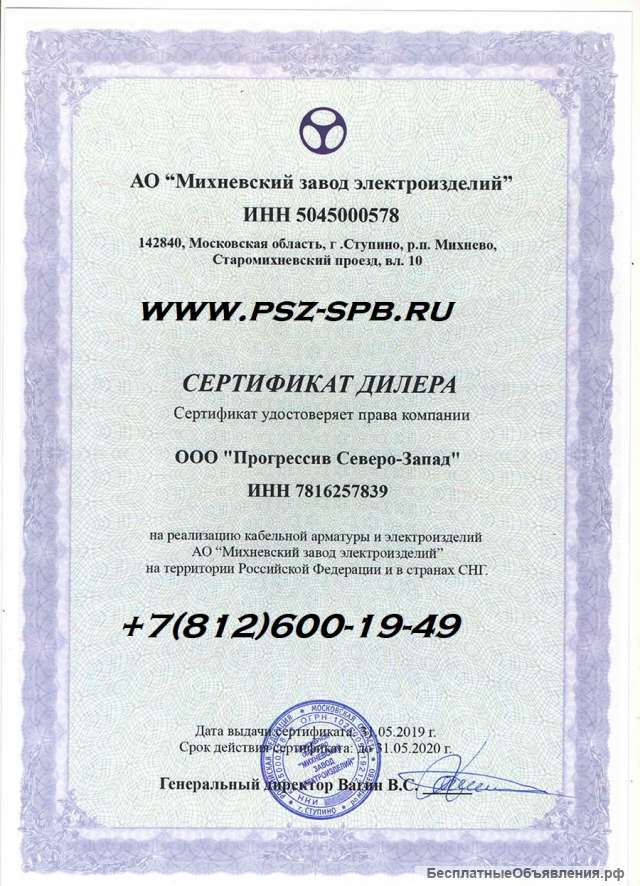 МЗЭИ (Санкт-Петербург)