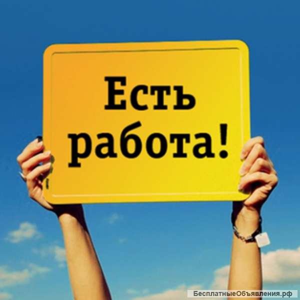 100% помощь в трудоустройстве