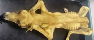 Нужна помощь