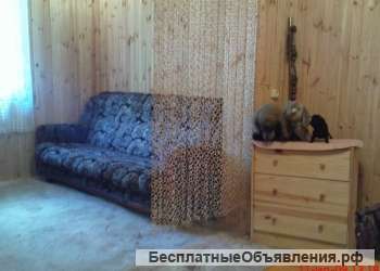 Сдам дом с участком на берегу водохранилища