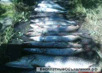 Сдам дом с участком на берегу водохранилища