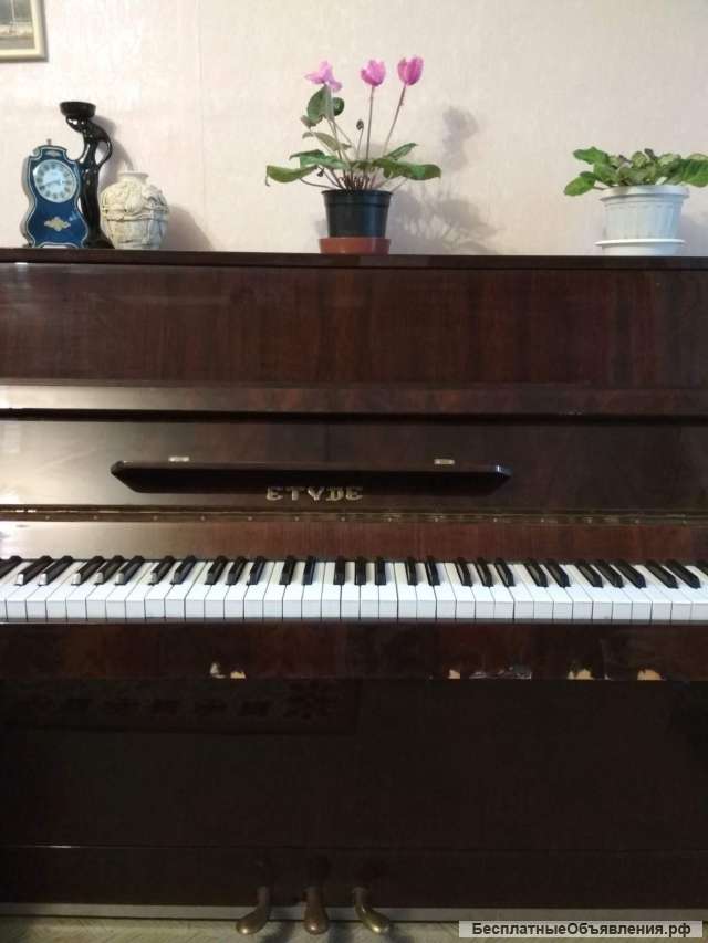 Пианино на пачку молотого кофе