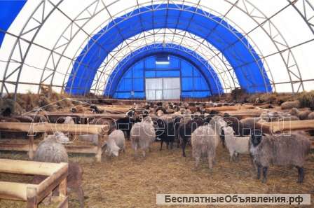 Строительство овчарни