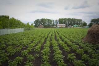 Большой участок ИЖС в Подымалово