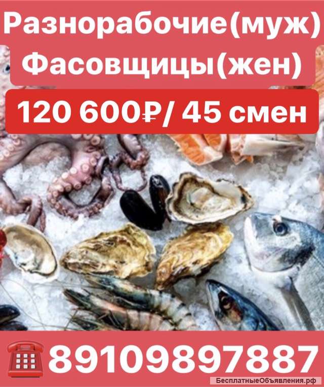 Фасовщицы и разнорабочие на завод морепродуктов